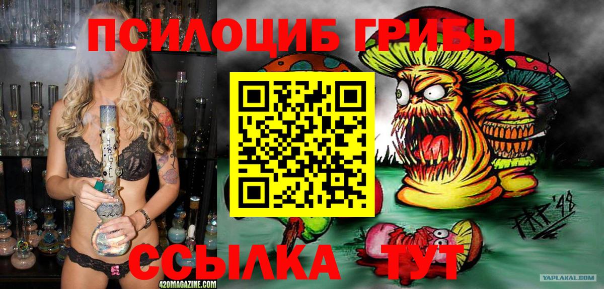 Псилоцибиновые грибы прущие грибы  Вход с VPN  Псилоцибиновые грибы мухоморы  Ишим 