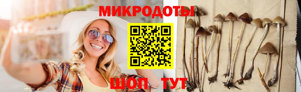 Псилоцибиновые грибы мицелий Ишим